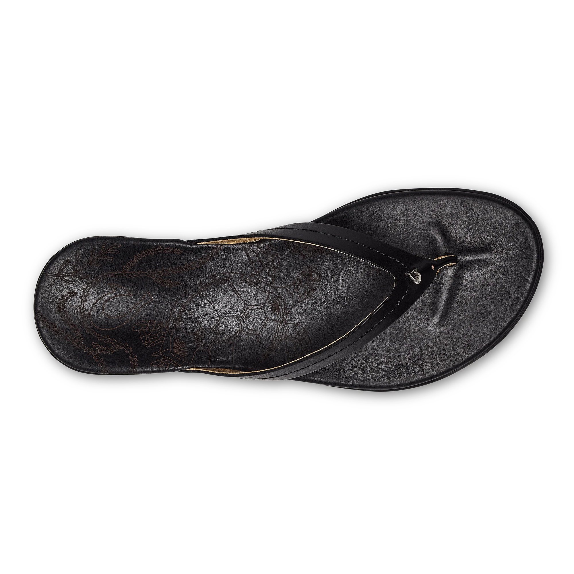 Honu - Black - Image 5